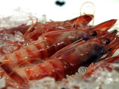 Gamba Roja de Denia